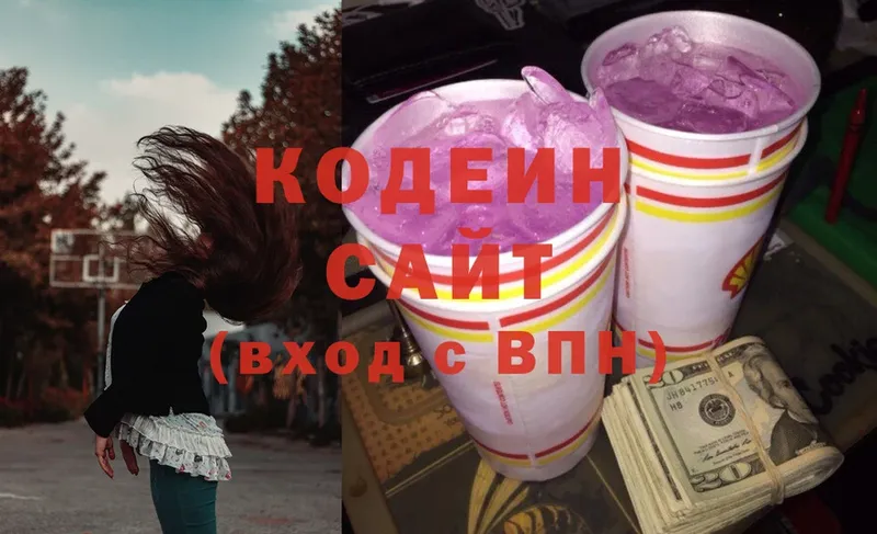 где купить наркотик  Бирюсинск  Кодеиновый сироп Lean Purple Drank 