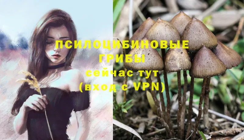 Псилоцибиновые грибы MAGIC MUSHROOMS  Бирюсинск 